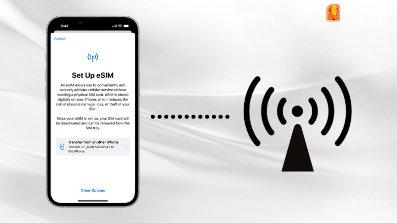 How to check if your esim travel is active