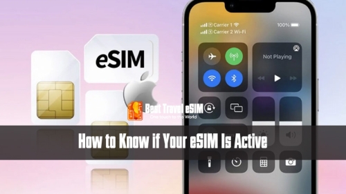 How to Know if Your eSIM Is Active